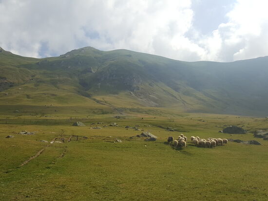 Ihr habt es hier auch echt gut!!