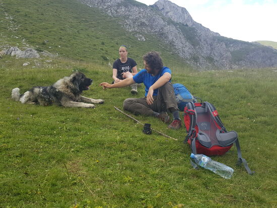 Er bekommt ein belegtes Brötchen von uns und frisst es mit Begeisterung