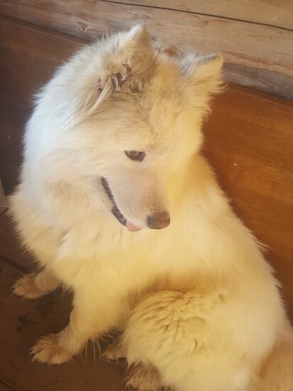 Der ist ganz lieb...