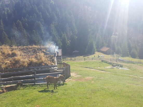 Vorn der Nachbar mit einem furchtbar kläffenden Hund und hinten ist unser Guesthouse