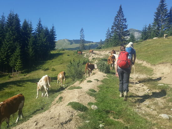 Und wieder sind die beiden vorn..