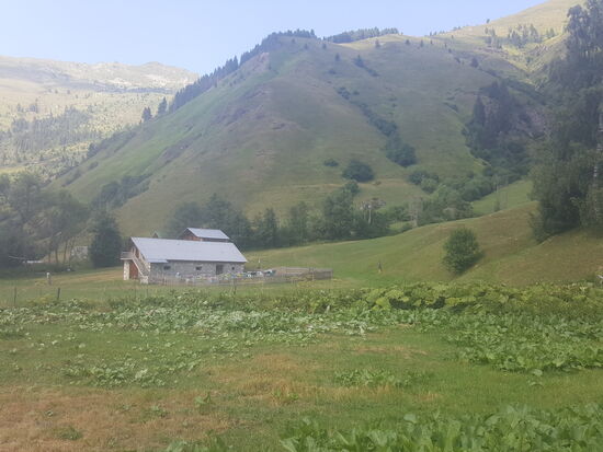 Das „Gruselhaus“—Tikki erklärt uns, dass hier Tag und Nacht über Lautsprecher Musik läuft um Bären zu verscheuchen, die sich sonst evtl über den Honig hermachen. Die Besitzer sind wohl selten zu Hause
