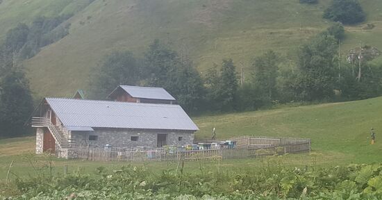 Beim ranzoomen erkennt man die vielen Bienenstöcke und auch 2 Vogelscheuchen