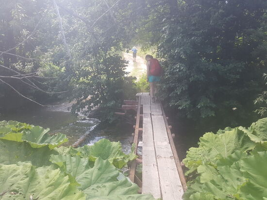 Wir überqueren jeden Tag viele Flüsse und Wasserläufe—meist von Stein zu Stein—hier eine einfache Brücke