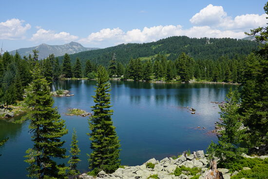 Wir machen nur Rasr—keiner möchte baden