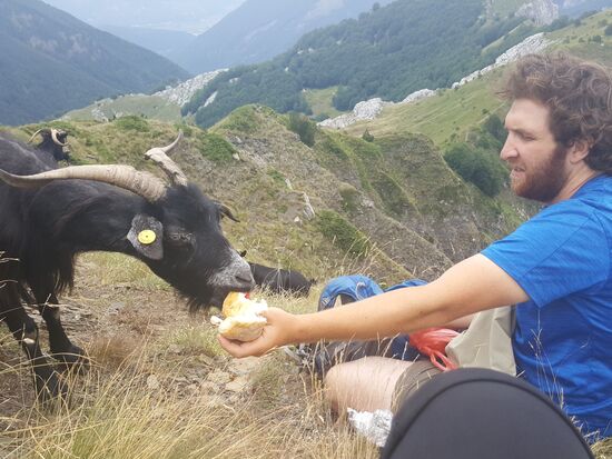 Das Frühstück wird geteilt...