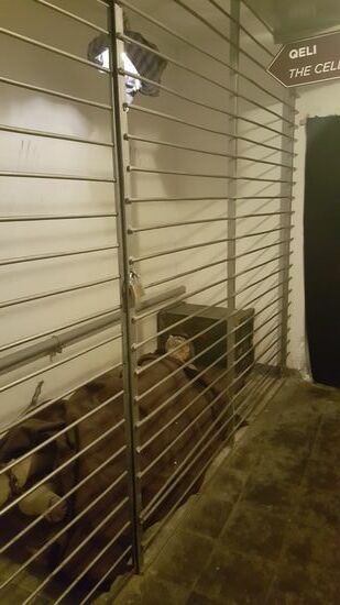 Er war sicher kein Oberhaupt....