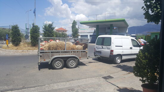 Einer der viele Schaf-Transporte