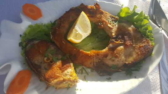 Und wieder mal Fisch....war aber heute nicht so gut wie davor