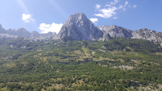 Blick aus dem Fenster...