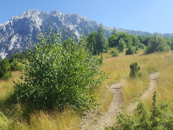 Die Wege sind toll und wir kommen zügig voran
