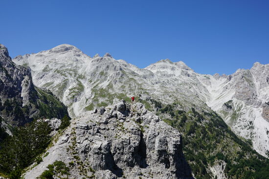 Thalia kraxelt sogar bis ganz nach oben,  für mich ist das zu anstrengend