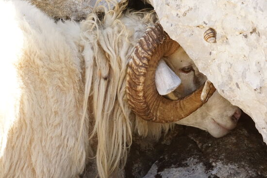 Thalia fotografiert auf den den Weg nach oben