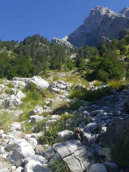 Wir haben uns für die spektakuläre Route entschieden. Diese führt über den „Prosllopi Pass“—hinten sehen wir unser Tagesziel—den Pass