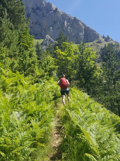 Solche Wege sind dann wieder angenehm