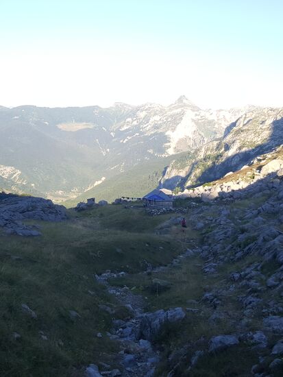 Und wieder so ein Besuch... Weg..