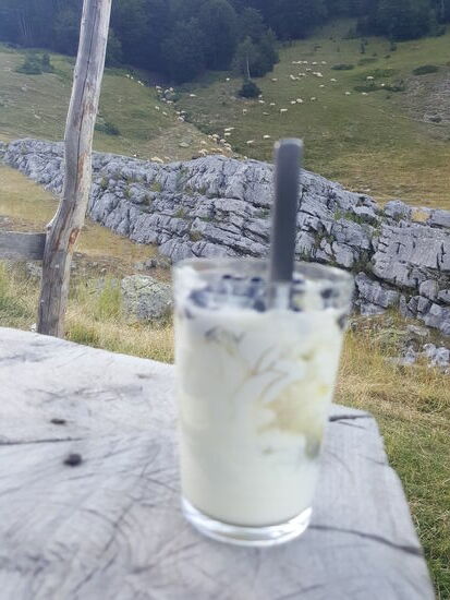 Wir stoppen an einem Resto und genießen Joghurt aus Schafsmilch mit Honig und Blaubeeren.
So etwas kostet zur Zeit hier 2 Euro