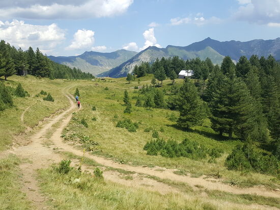 Die beiden sind immer viel schneller als ich