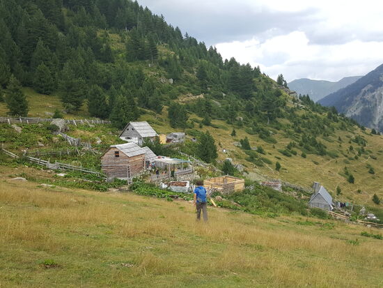 Um 15 Uhr kehren wir schon wieder ein. Diesmal bei einem älteren Ehepaar mit ihrer kleinen Enkelin. Ich fühle mich wie in einem alten Film. Der Großvater holt um halb 4 sein Transistorradio raus, zieht die Antenne raus und sucht einen Sender um Nachrichten zu hören. Die beiden alten Leutchen glauben übrigens nicht an Corona