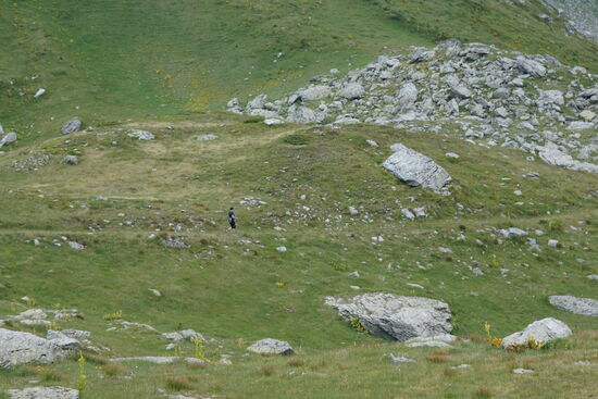 Da bin ich—ich renne währenddessen  schon Richtung Heimat—die beiden holen mich bald wieder ein