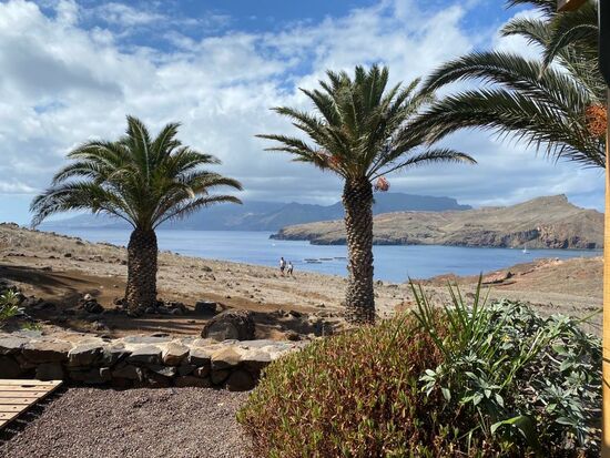 Palmen sieht man hier eher wenig