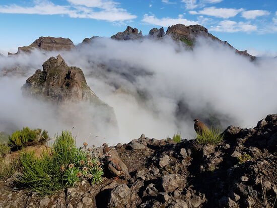 Wunderschön, wie die Nebelfelder in der Schlucht gefangen sind