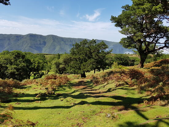 Das magische Gebiet Fanal befindet sich an einem kleinen Vulkankrater