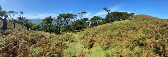 Perfekte Gegend um die Seele baumeln zu lassen