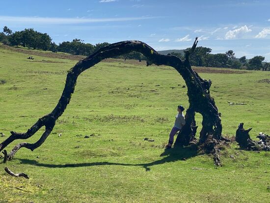 Auch sonst—außerhalb der Coronazeit bleibt Dedieser Fleck von Touristenströmen verschont