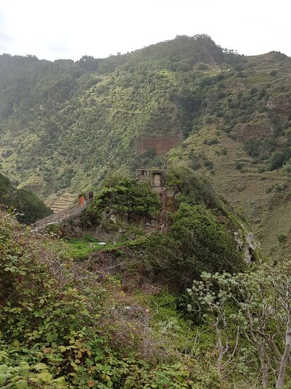 Ganz faszinierend finde ich diesen Inselbewohner: 
Ob der wohl viel Besuch bekommt??