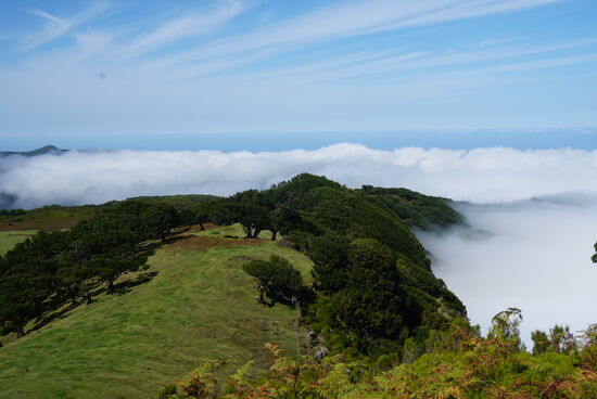 Auch hier wieder: mystischer Nebel