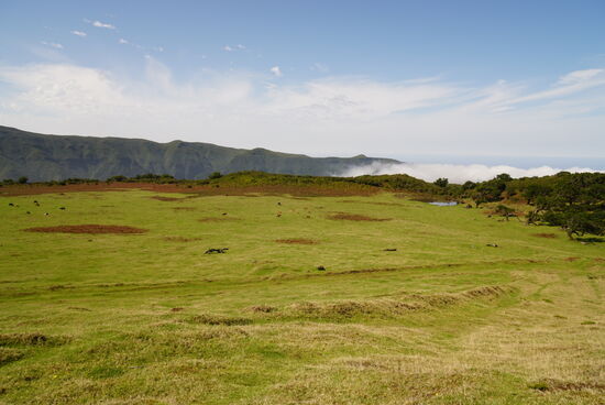 Wir befinden uns auf einem Plateau—ganz allein
