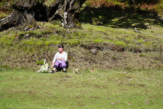 Bei der Entdeckung im Jahr 1419 war Madeira noch vollständig bewaldet