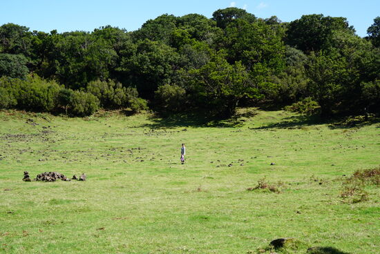 Hier stehe ich im „Lago do Fanal“—in meiner map ist das ein See....