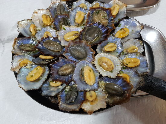 Abends dann das kulinarische Highlight: Als Vorspeise frische Muscheln mit Zitrone und frischem Knoblauch—dazu selbstgebackenes Knoblauchbrot:
Ich sage euch: SOOOOO LECKER!!!!!!