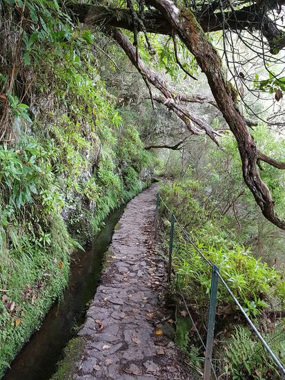 Die Levadas sind Bewässerungskanäle, die bereits im 15.Jh angelegt wurden