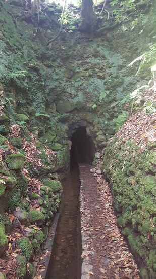 Keine Angst: überall sind Seile zum festhalten