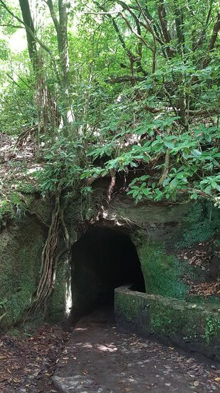 Erinnert mich etwas an „Angkor Wat“....