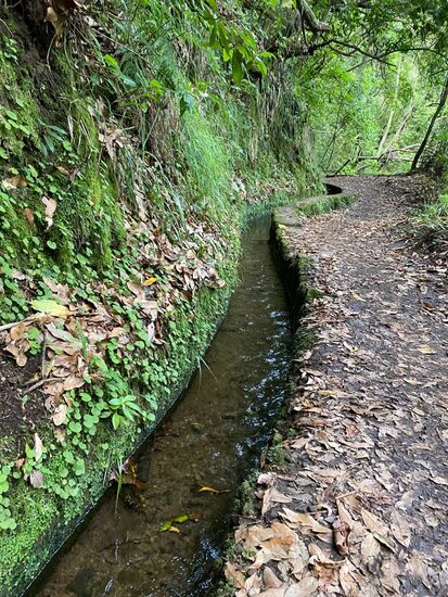 Heute werden noch 3 Elektrizitätswerke mit dem Wasser der  Levadas betrieben, bevor es zur Bewässerung genutzt wird