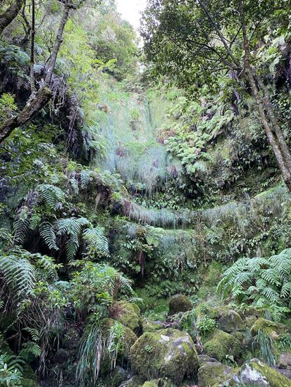 Einem vor Millionen Jahren erloschener Vulkan verdankt die Gegend nun diese wunderschöne, üppige, grüne  Vegetation