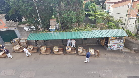 Von der Kirche sehe ich , wie die Fahrer auf Kundschaft warten. Lange wurde diese Attraktion auch wegen Corona stillgelegt. Aber nun darf wieder gefahren werden