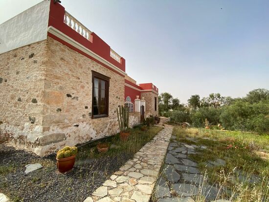 Das Anwesen ist wunderschön mit seinen kanarischen Palmen, Aloe Vera Pflanzen und vielen anderen -nur hier heimischen Pflanzen