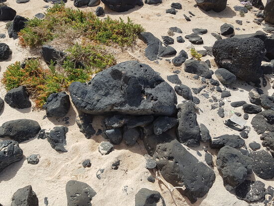Tatsächlich schnell gefunden unter einem der vielen Steine