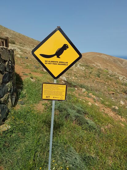 Ja—die sollte man nicht füttern, weil sie sonst ZU lästig werden