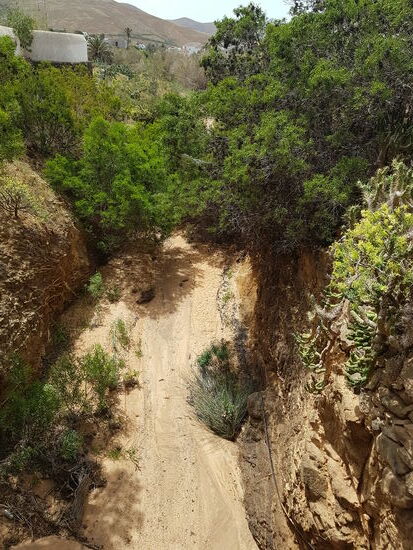 Dieses Bachbett trennt das Kloster von der Capilla San Diego de Alcala