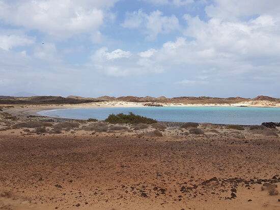Wir wandern bis zur Lagune und suchen hier den ersten Geo-Cache.
Der ist schnell gefunden. Der Blick von hier zurück zur Lagune ist wunderschön—hier kann man toll schnorcheln