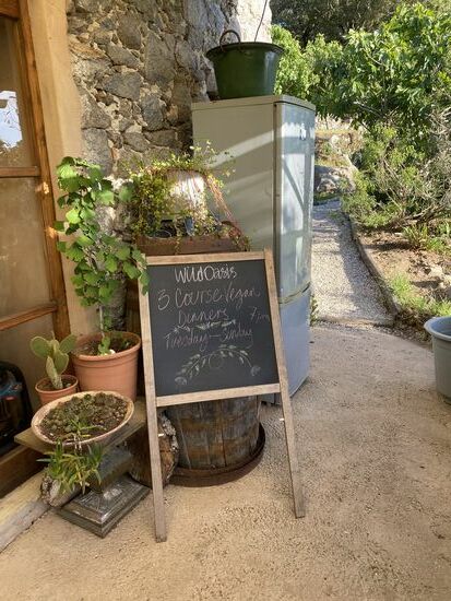 Es gibt hier Veganes Essen—wir haben uns für den heutigen Abend ein Dinner bestellt