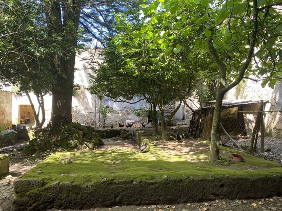 Im Hof ist eine kleine Hühnerfarm und ein Garten der von der Familie bewirtschaftet wird