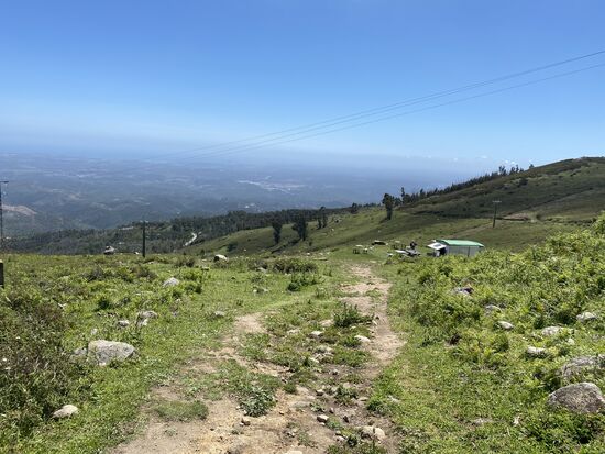 Als wir wieder hinabsteigen wollen, entdecken wir den Foodtruck „Alecrim“