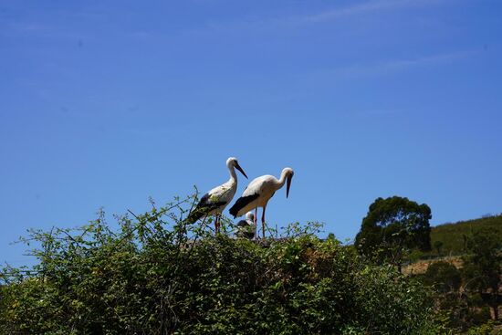 ...und wird gut von den Eltern versorgt